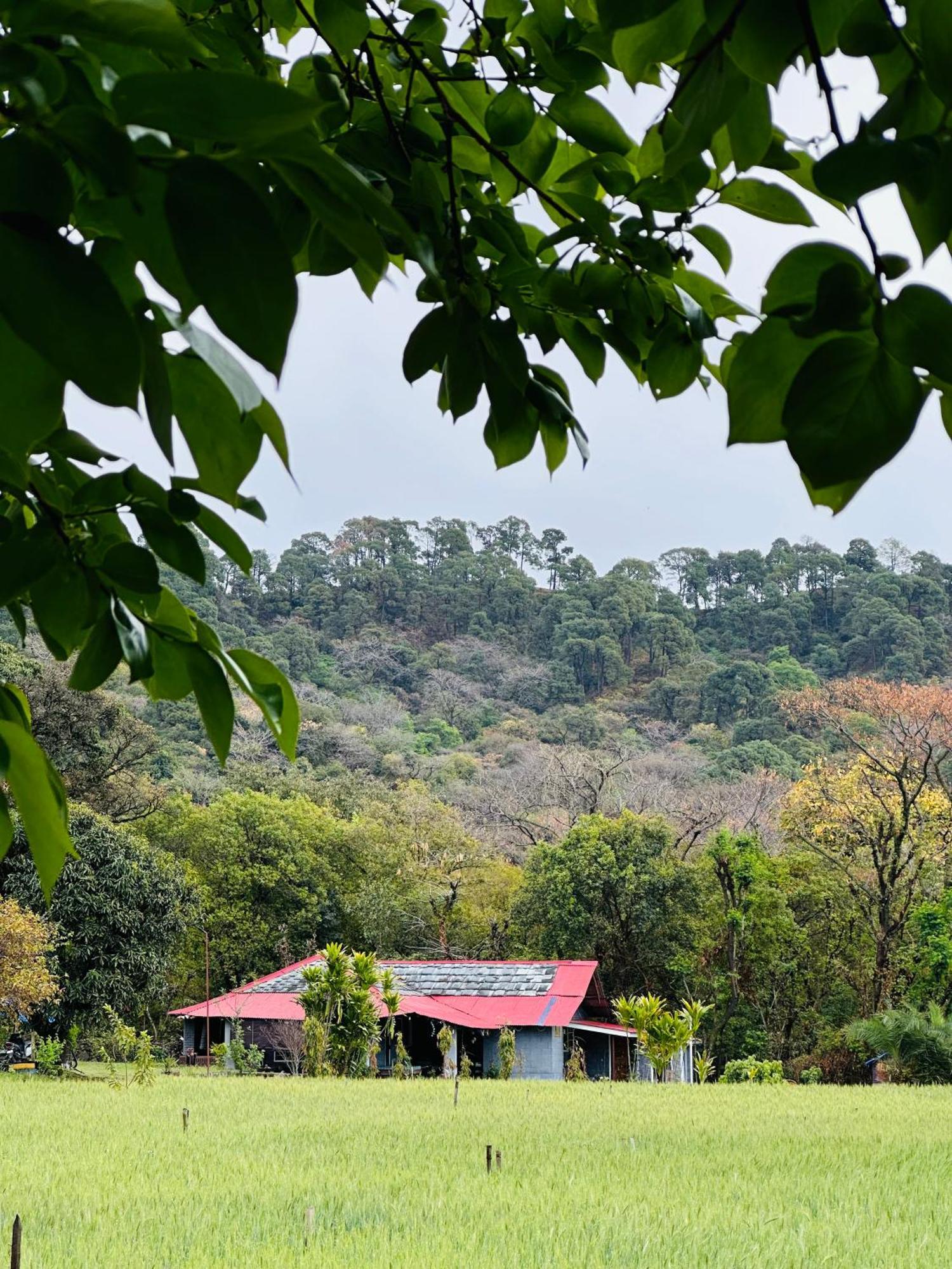 Dreamwoods A Travellers Farm Dharamshala Exterior foto