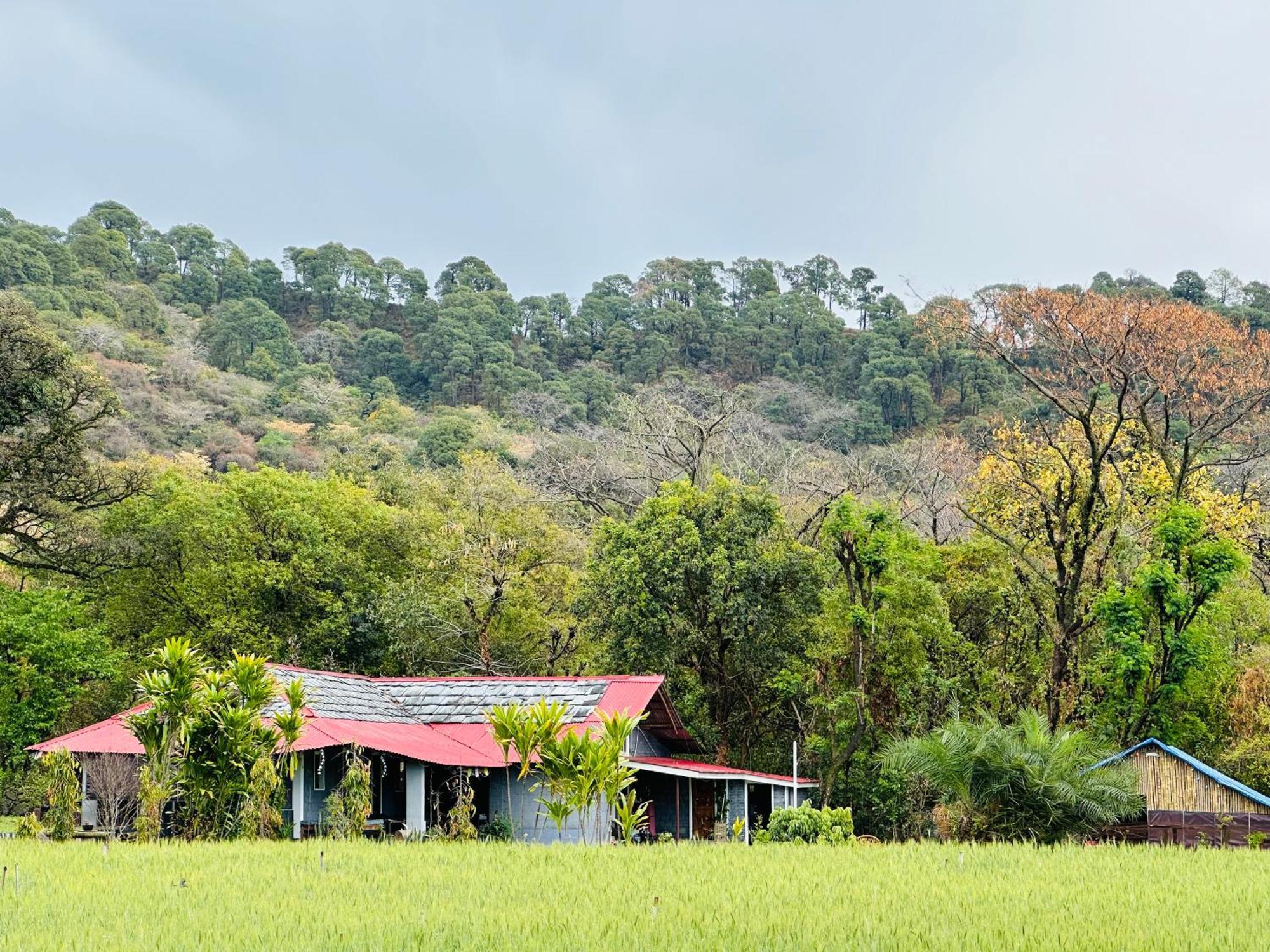 Dreamwoods A Travellers Farm Dharamshala Exterior foto