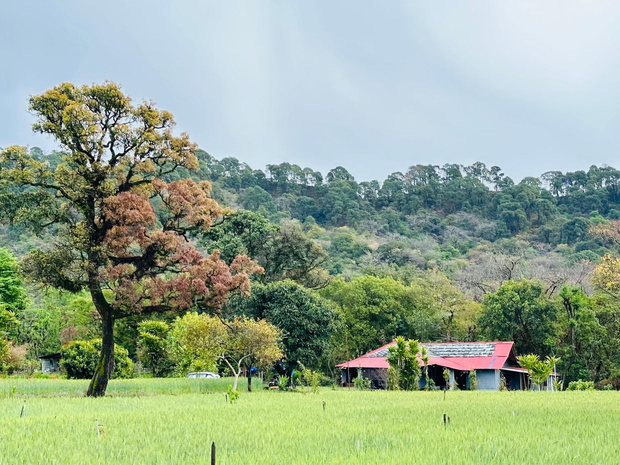 Dreamwoods A Travellers Farm Dharamshala Exterior foto